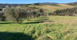 Terreno Agricolo -Rif.352