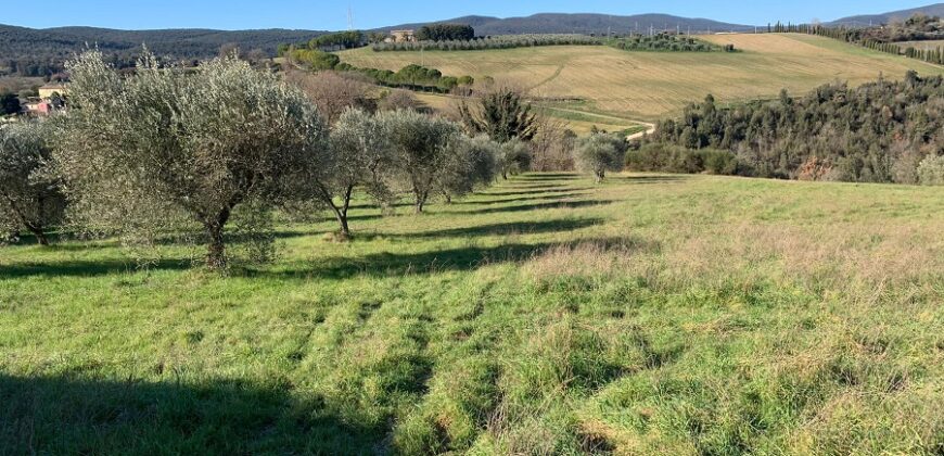 Terreno Agricolo -Rif.352