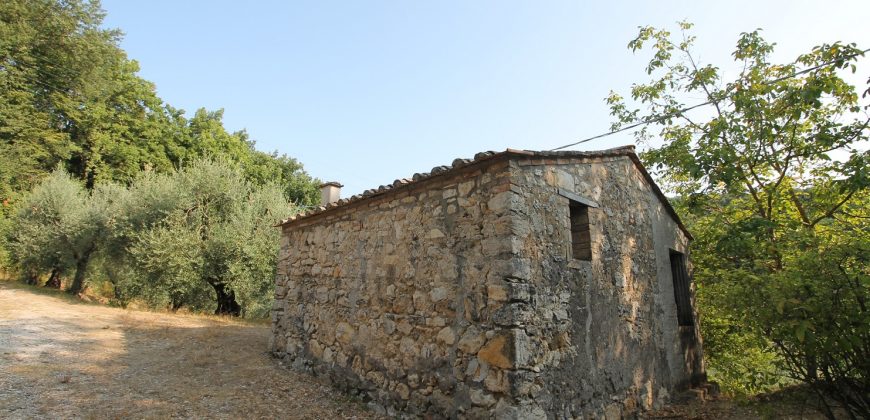 Rustico, Casale in Vendita in Località Soline a Penna in Teverina Rif. 27pen