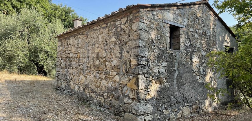Rustico, Casale in Vendita in Località Soline a Penna in Teverina Rif. 27pen