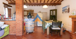 PORZIONE DI CASALE IN PIETRA CON GIARDINO – Rif. 1cor