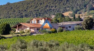 BELLISSIMO CASALE CIRCONDATO DA 36 ETTARI DI TERRENO – Rif. 9mon