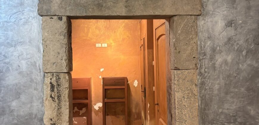 Locale commerciale Rif.603
