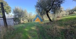 TERRENO AGRICOLO – RIF.6ALV