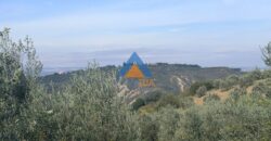 TERRENO AGRICOLO – RIF.6ALV
