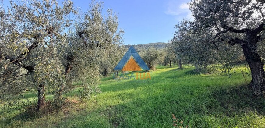 TERRENO AGRICOLO – RIF.6ALV