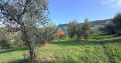 TERRENO AGRICOLO – RIF.6ALV