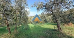 TERRENO AGRICOLO – RIF.6ALV