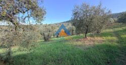 TERRENO AGRICOLO – RIF.6ALV
