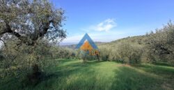 TERRENO AGRICOLO – RIF.6ALV