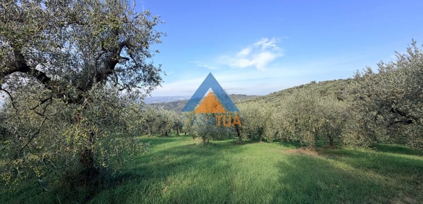 TERRENO AGRICOLO – RIF.6ALV