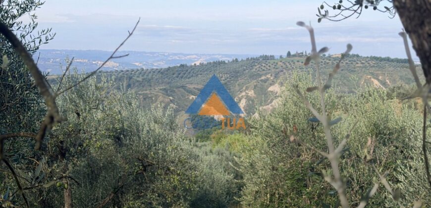 TERRENO AGRICOLO – RIF.6ALV
