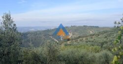 TERRENO AGRICOLO – RIF.6ALV