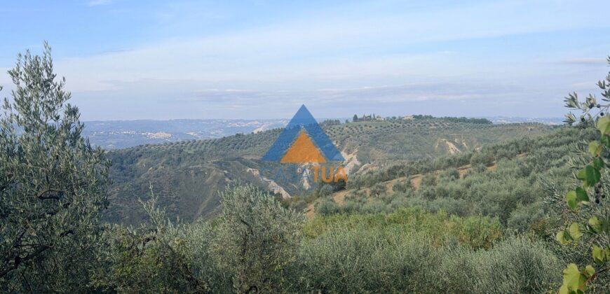 TERRENO AGRICOLO – RIF.6ALV