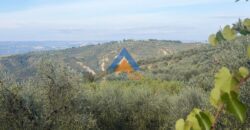 TERRENO AGRICOLO – RIF.6ALV