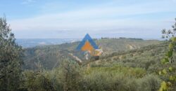TERRENO AGRICOLO – RIF.6ALV