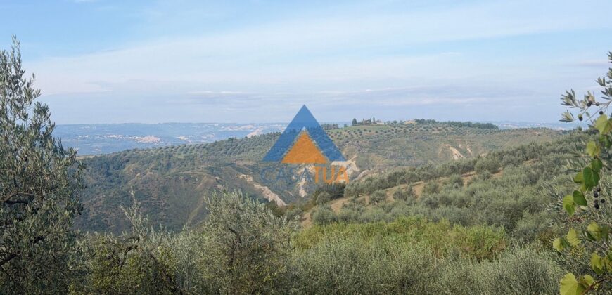 TERRENO AGRICOLO – RIF.6ALV