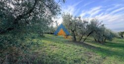 TERRENO AGRICOLO – RIF.6ALV