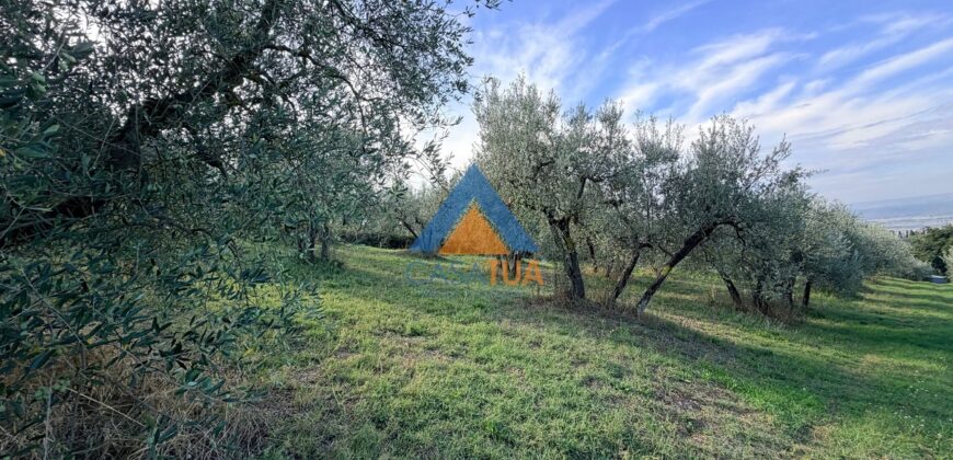 TERRENO AGRICOLO – RIF.6ALV