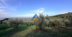 TERRENO AGRICOLO – RIF.6ALV