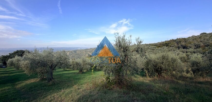 TERRENO AGRICOLO – RIF.6ALV