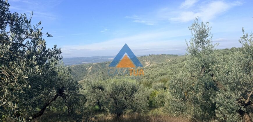 TERRENO AGRICOLO – RIF.6ALV