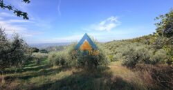 TERRENO AGRICOLO – RIF.6ALV