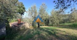 TERRENO AGRICOLO – RIF.6ALV