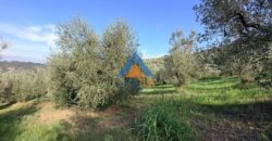 TERRENO AGRICOLO – RIF.6ALV