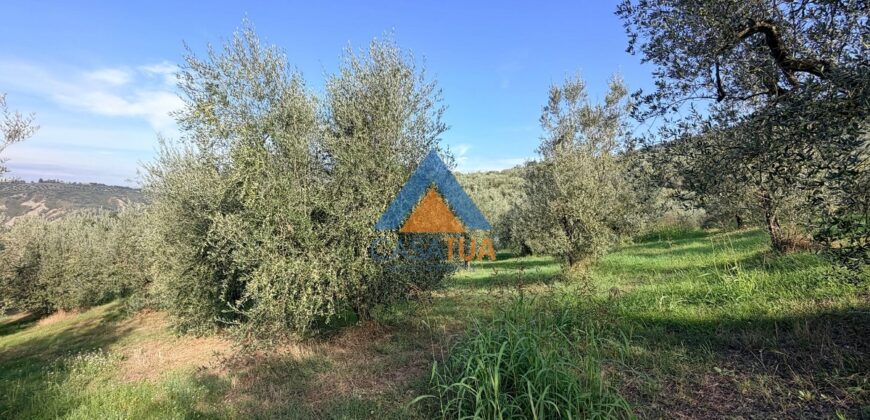 TERRENO AGRICOLO – RIF.6ALV