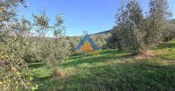 TERRENO AGRICOLO – RIF.6ALV