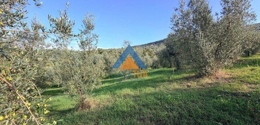 TERRENO AGRICOLO – RIF.6ALV