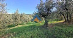 TERRENO AGRICOLO – RIF.6ALV