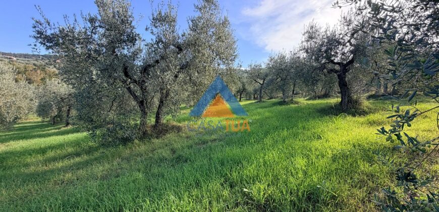 TERRENO AGRICOLO – RIF.6ALV