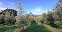 TERRENO AGRICOLO – RIF.6ALV