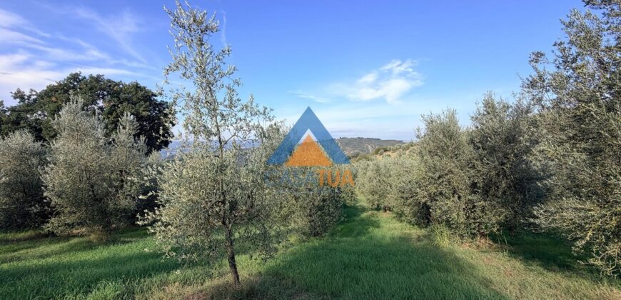 TERRENO AGRICOLO – RIF.6ALV