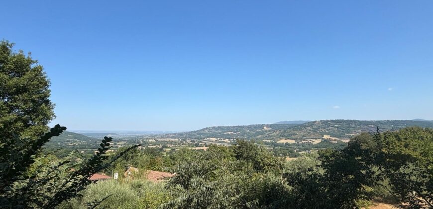 VILLA SINGOLA CON TERRENO Rif Ort 229