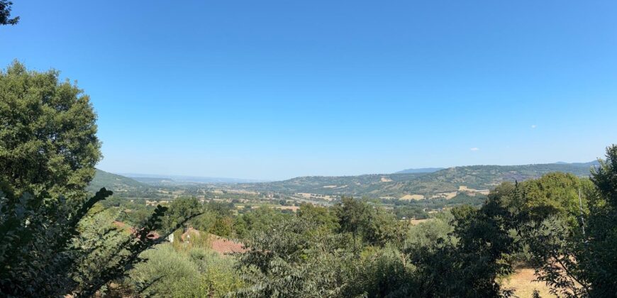 VILLA SINGOLA CON TERRENO Rif Ort 229