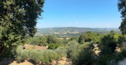 VILLA SINGOLA CON TERRENO Rif Ort 229