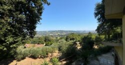 VILLA SINGOLA CON TERRENO Rif Ort 229