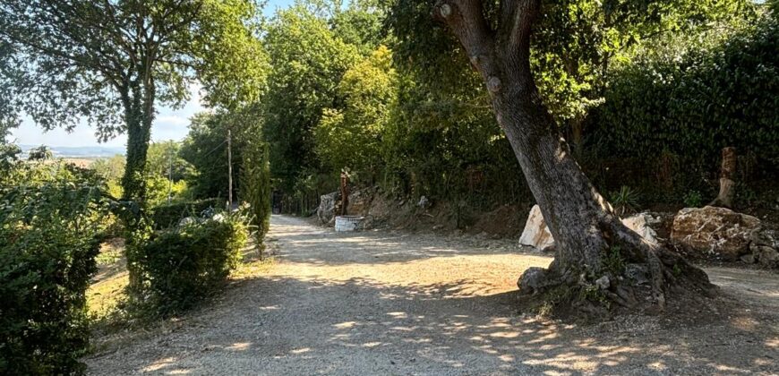 VILLA SINGOLA CON TERRENO Rif Ort 229