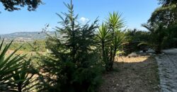 VILLA SINGOLA CON TERRENO Rif Ort 229