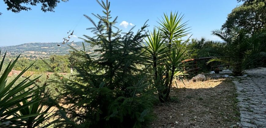 VILLA SINGOLA CON TERRENO Rif Ort 229
