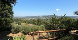VILLA SINGOLA CON TERRENO Rif Ort 229