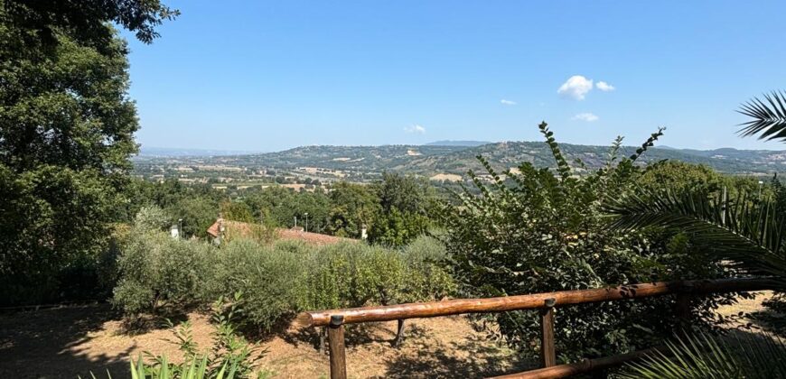 VILLA SINGOLA CON TERRENO Rif Ort 229