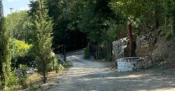 VILLA SINGOLA CON TERRENO Rif Ort 229
